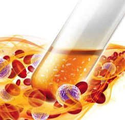 platelet-rich fibrin